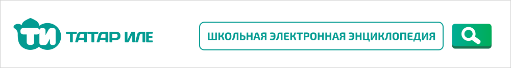ШКОЛЬНАЯ ЭЛЕКТРОННАЯ ЭНЦИКЛОПЕДИЯ верх