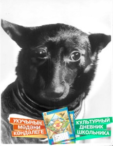 Чем знаменит ваш город или район?