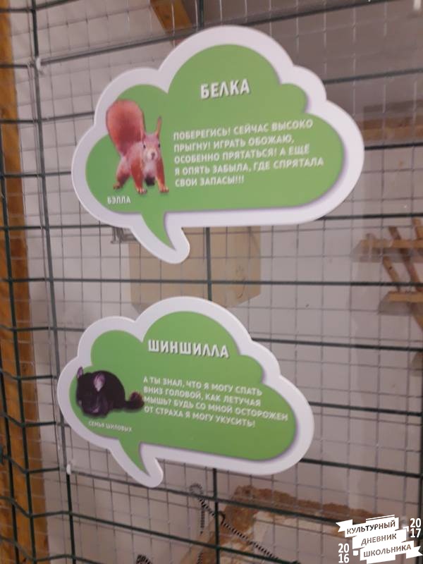 Контактный зоопарк. Казань.75630