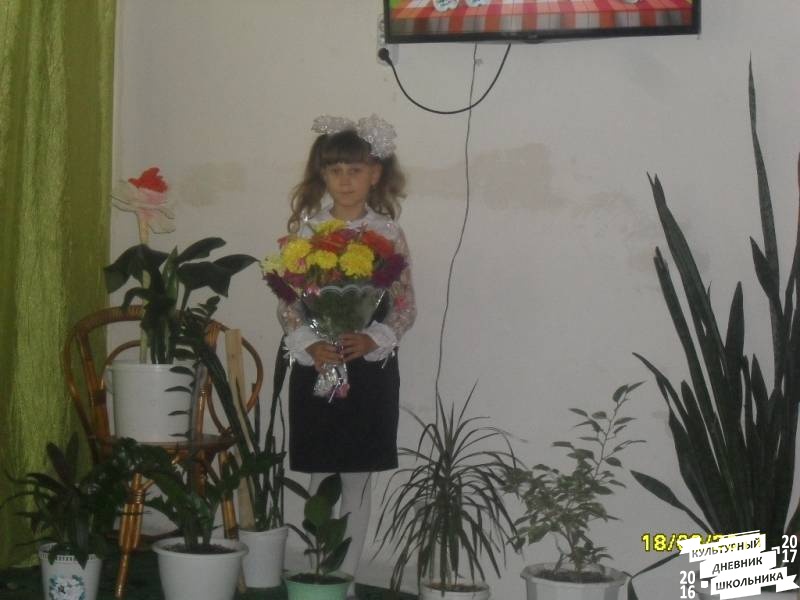 я и моя культурная команда73873
