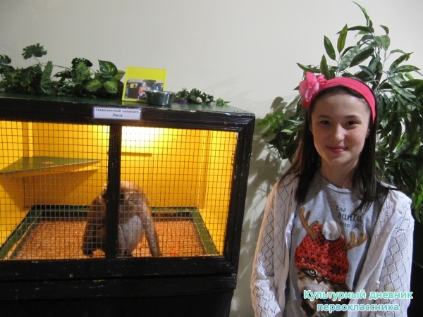 мои выходные23570