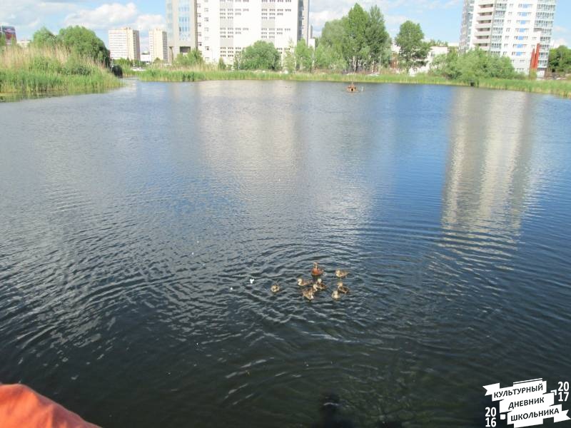 Казань. Подарок от ДДД. 28 июня 201771570