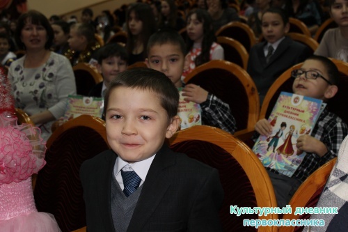 Ильфат и Ильшат с культурным дневником14318