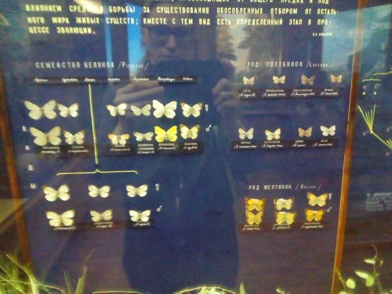 Биологический музей г. Москва 307