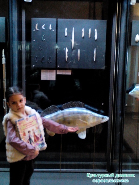 Древняя история Татарстана