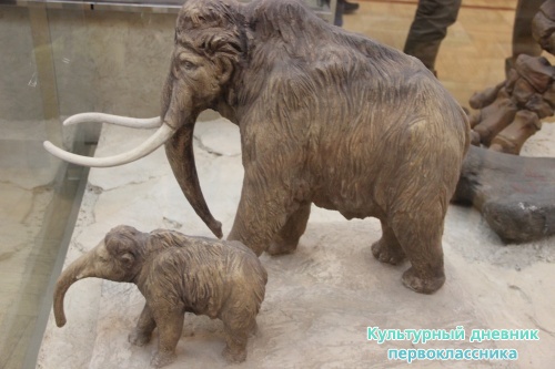 Новый экспонат «Ледниковый период»16485