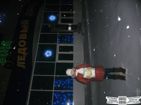 Я в ледовом дворце