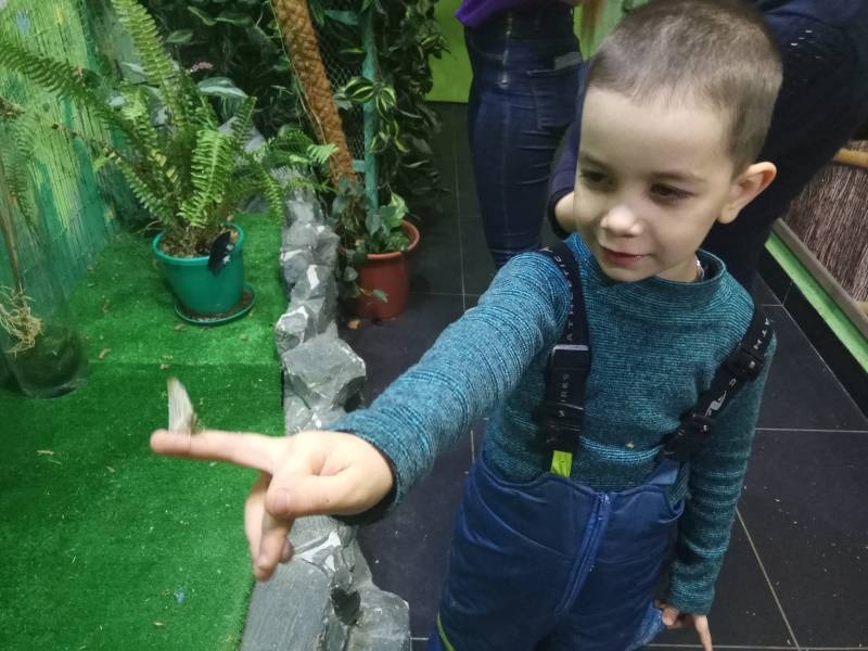 Парк бабочек.86920