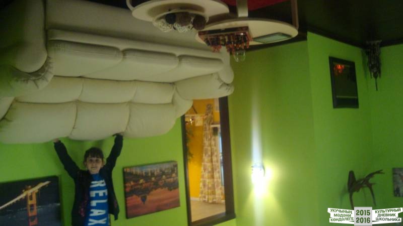 Дом вверх дном39380