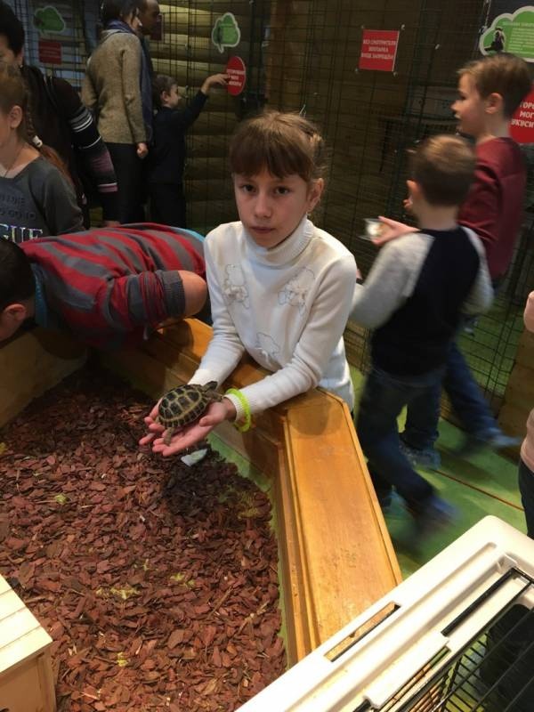 Трогательный зоопарк.93844