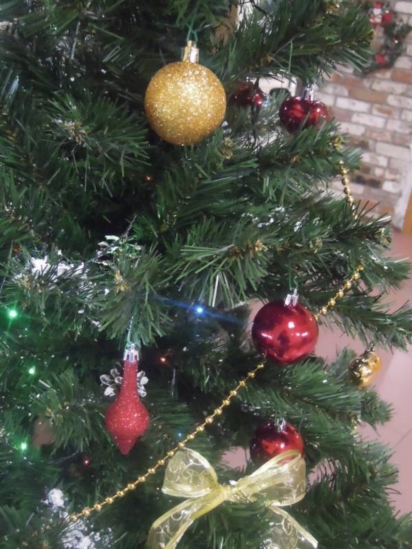 DSCN5524.JPG