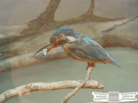 DSCN6834.JPG