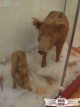 DSCN6817.JPG