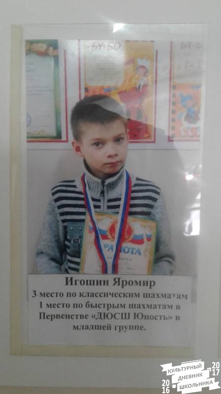 Мои успехи в шахматах74987