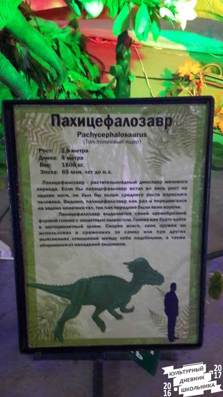 Мир динозавров. ТРЦ Италмас.63519