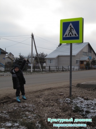 правила дорожного движения