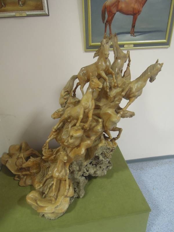 DSCN6821.JPG