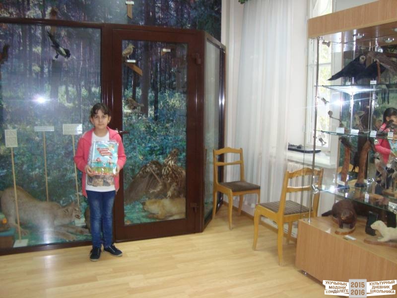 Музеи  Бугульмы.38421
