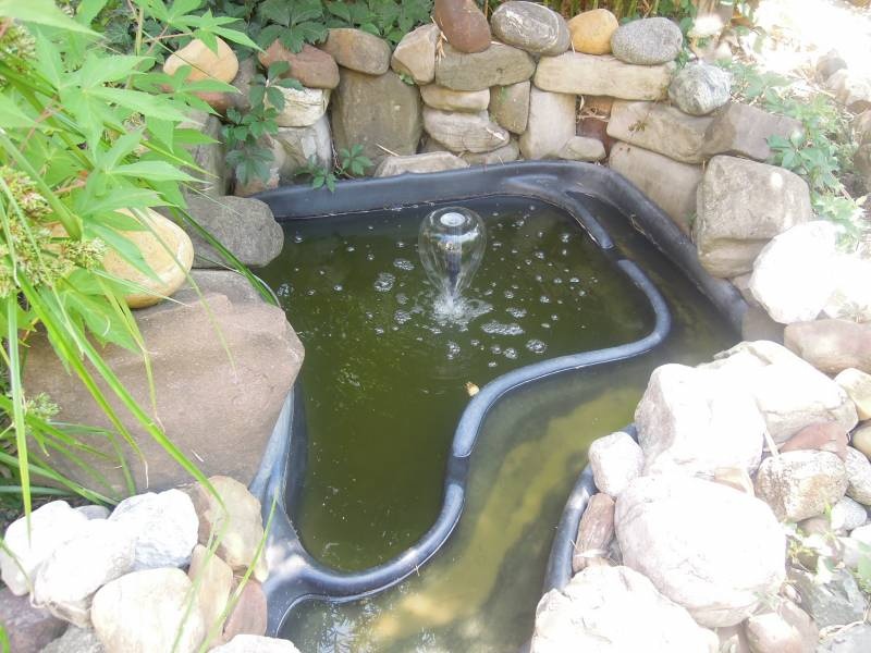 DSCN0535.JPG