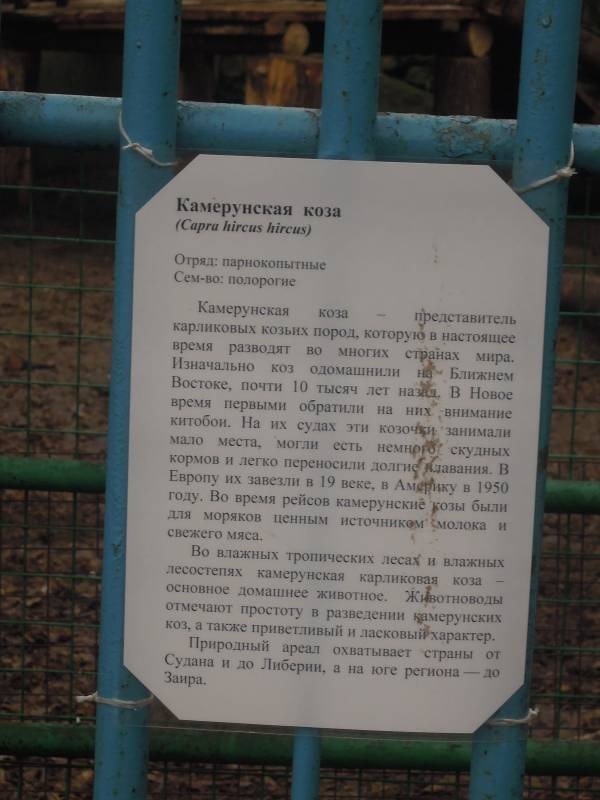 DSCN4954.JPG