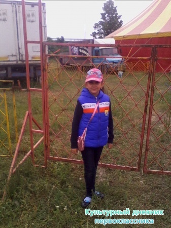 Цирк30250