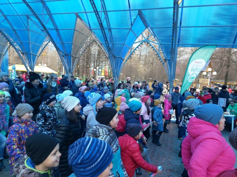 дружно на зеленый фитнес90256