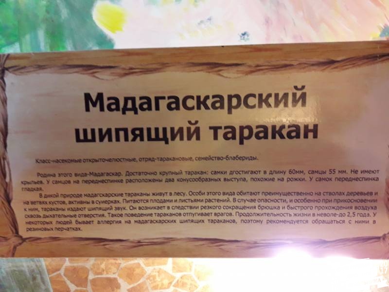 КК№46.Парк тропических бабочек.62352