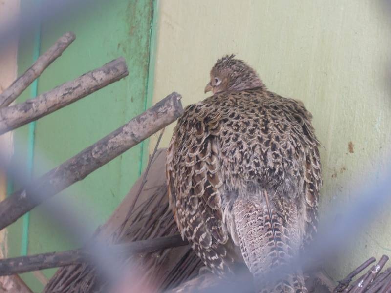 DSCN5022.JPG