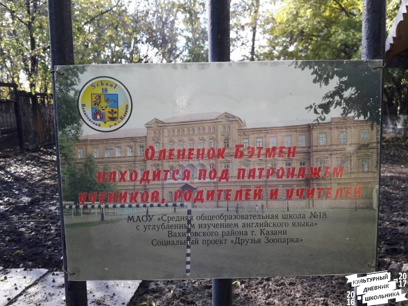 Пятнистый олень. Зооботанический сад. Казань.78148