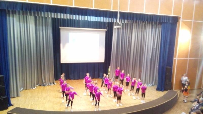 Конкурс "Звенящая капель". ЦДЮТ. 27.11.17.109429