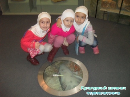SDC18359.JPG