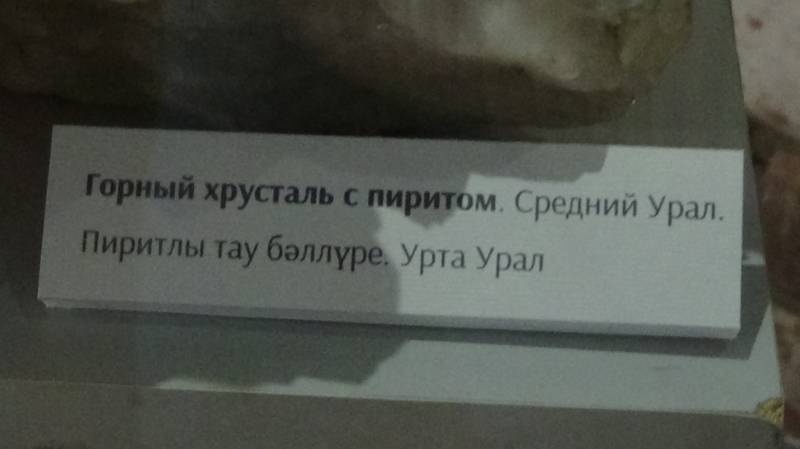 DSC08919.JPG