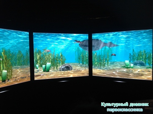 Музей естественной истории16831