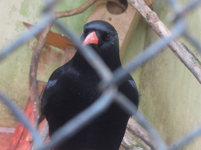 DSCN5031.JPG