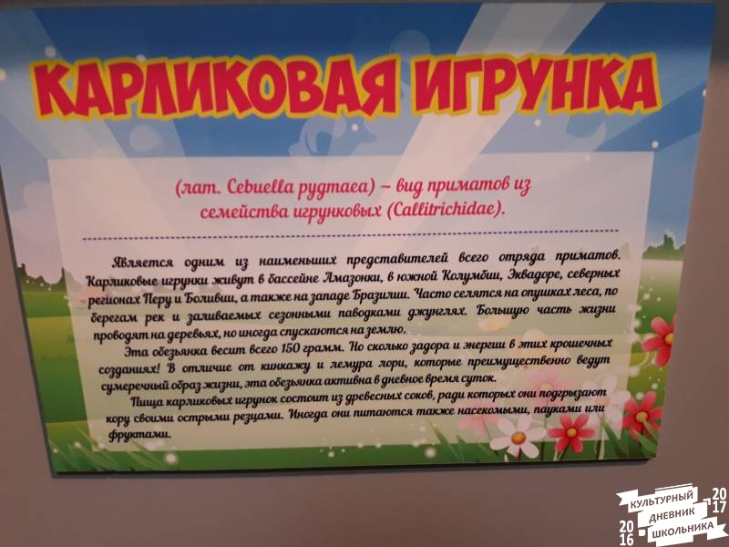 КК№46.Парк тропических бабочек.62377