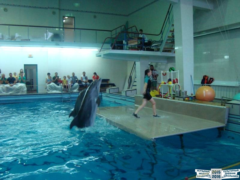 Мои летние путешествия!39638