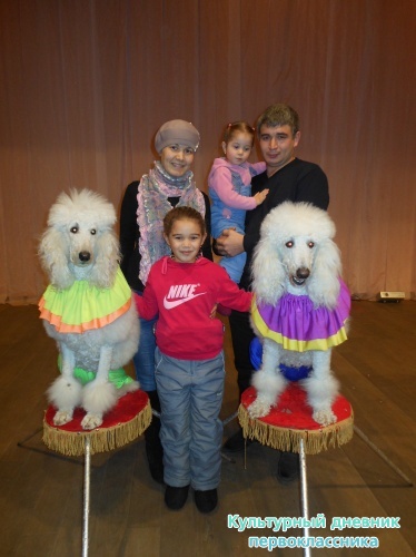 Цирк! "Сочи и Ко"9385