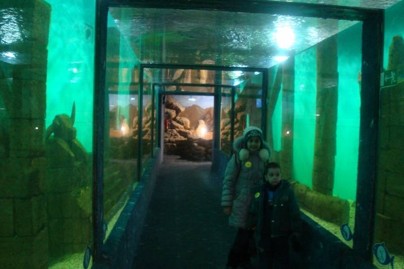Мои мероприятия!!112833