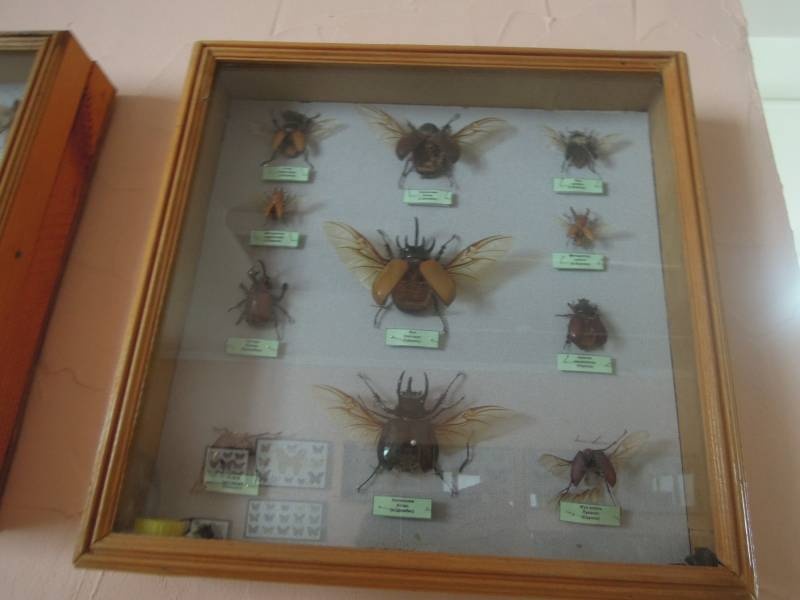 DSCN0438.JPG