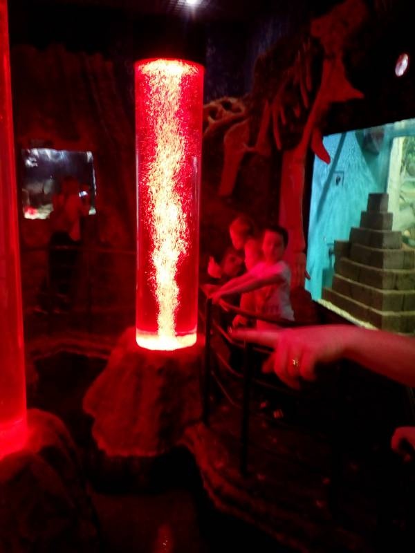 Казанский океанариум132228