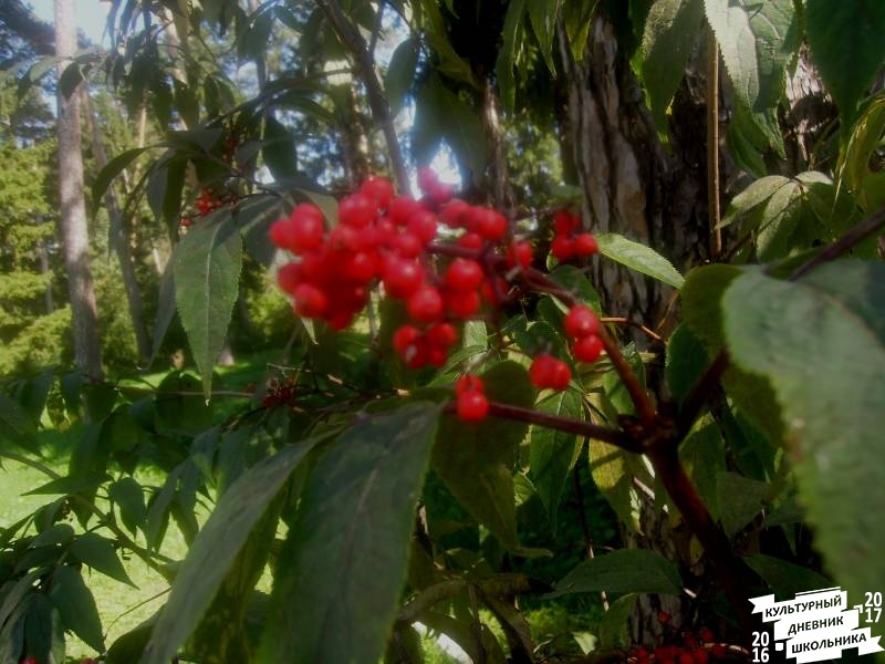 DSCN1676.JPG