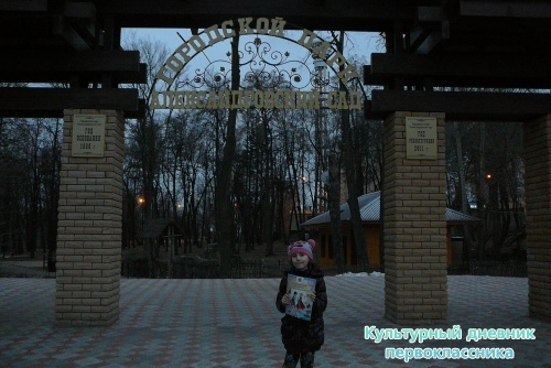 Я и мой культурный дневник5194
