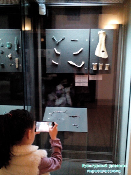 Древняя история Татарстана