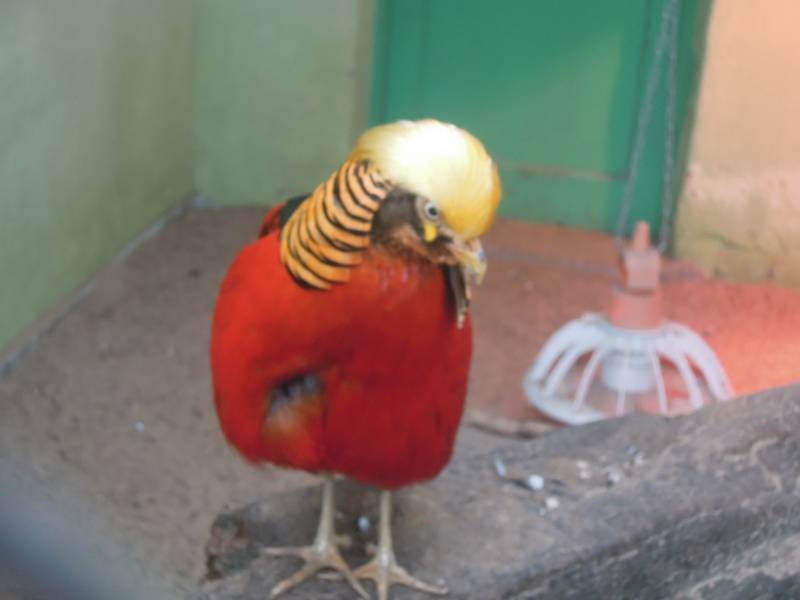 DSCN5028.JPG