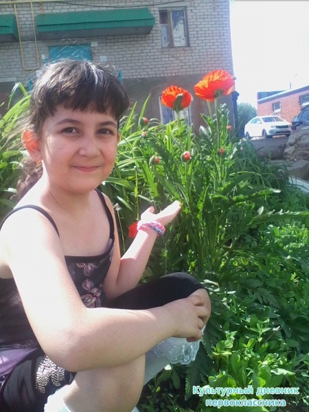 Школьный лагерь30042