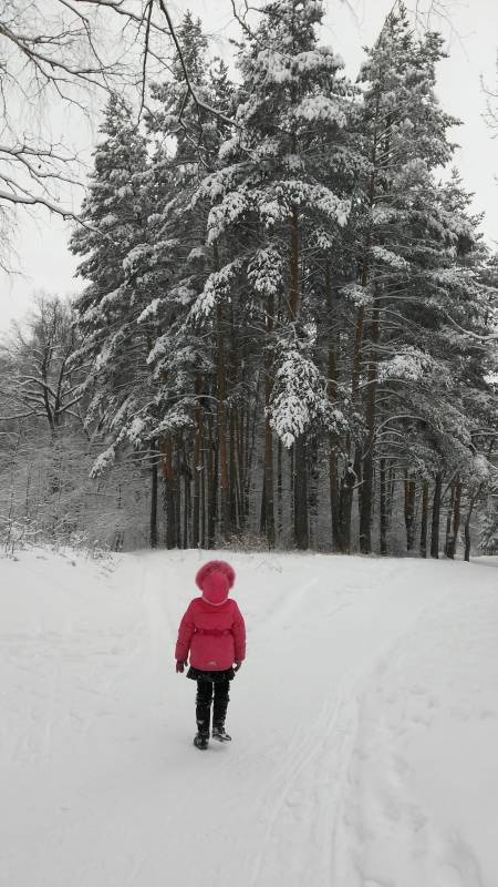 IMG_20171206_134527