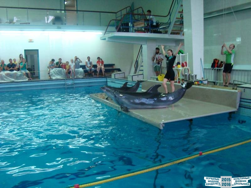 Мои летние путешествия!39627