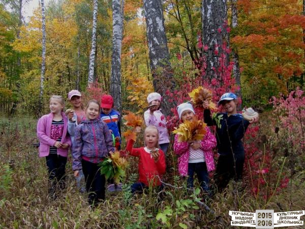 Поход с классом в лес.