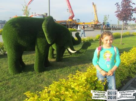 IMG_0172.JPG