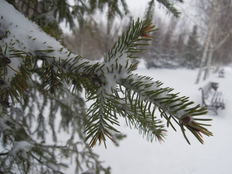 DSCN5260.JPG